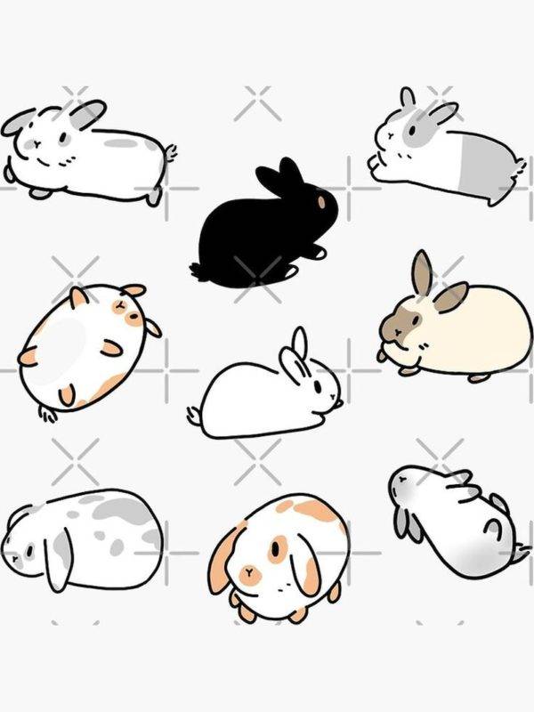 Рисунки Кроликов для срисовки
