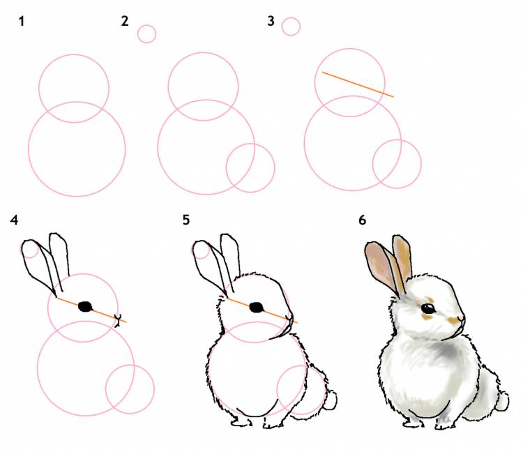 Легкие рисунки кроликов для начинающих 