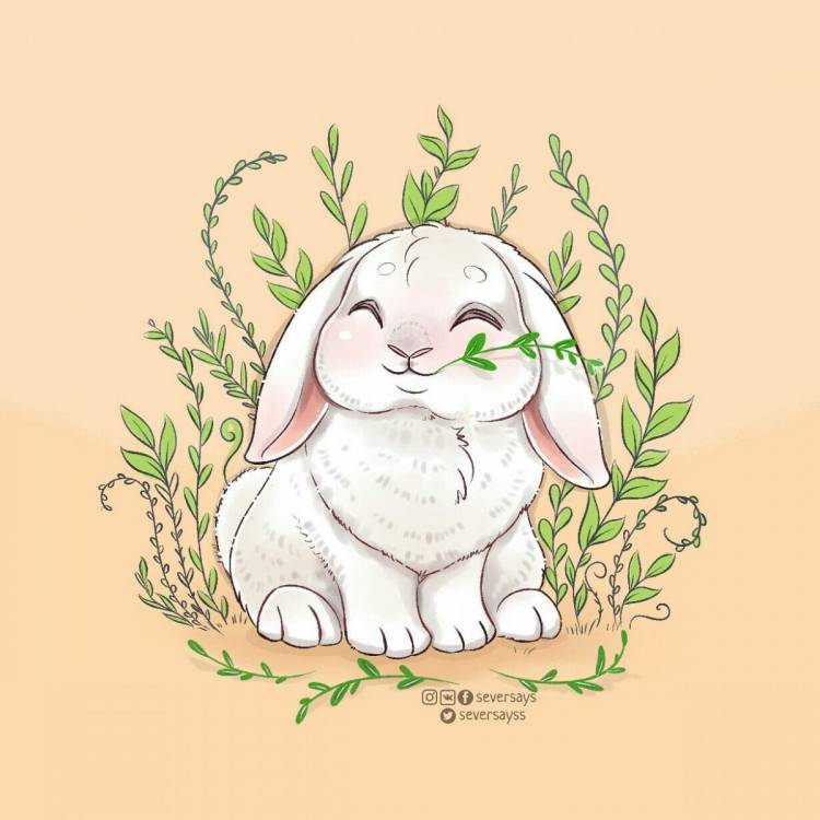 Картинки кроликов мультяшных
