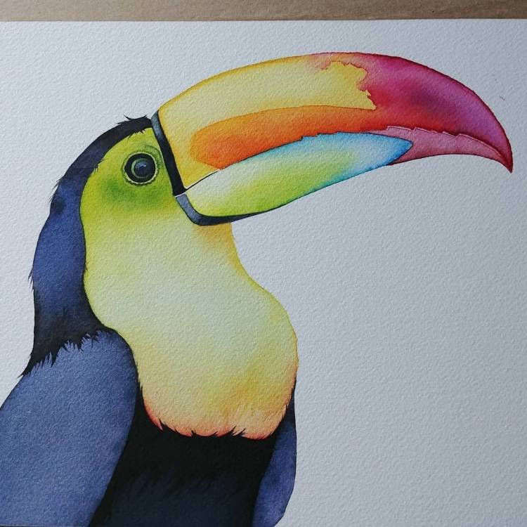 Животные для срисовки красками
