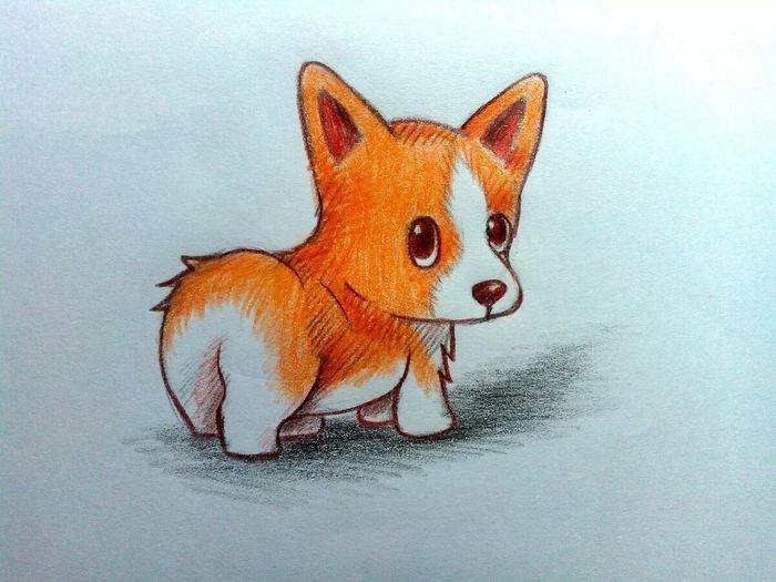 Рисунки животных карандашом для срисовки