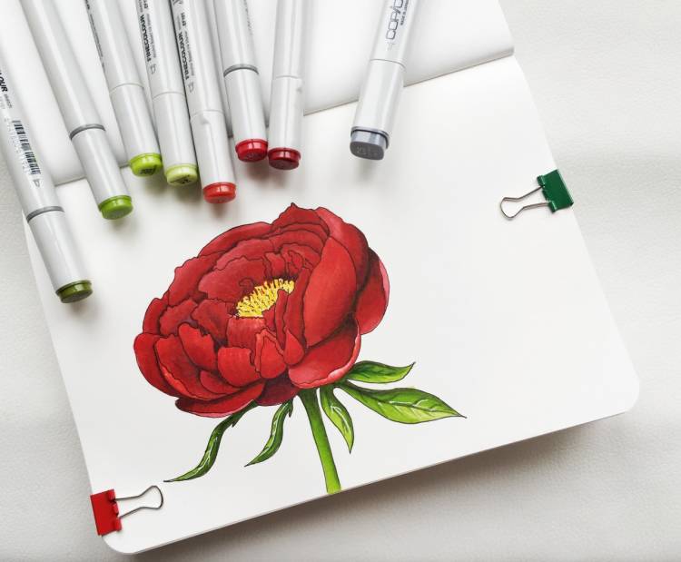 Рисунки цветов для срисовки маркерами