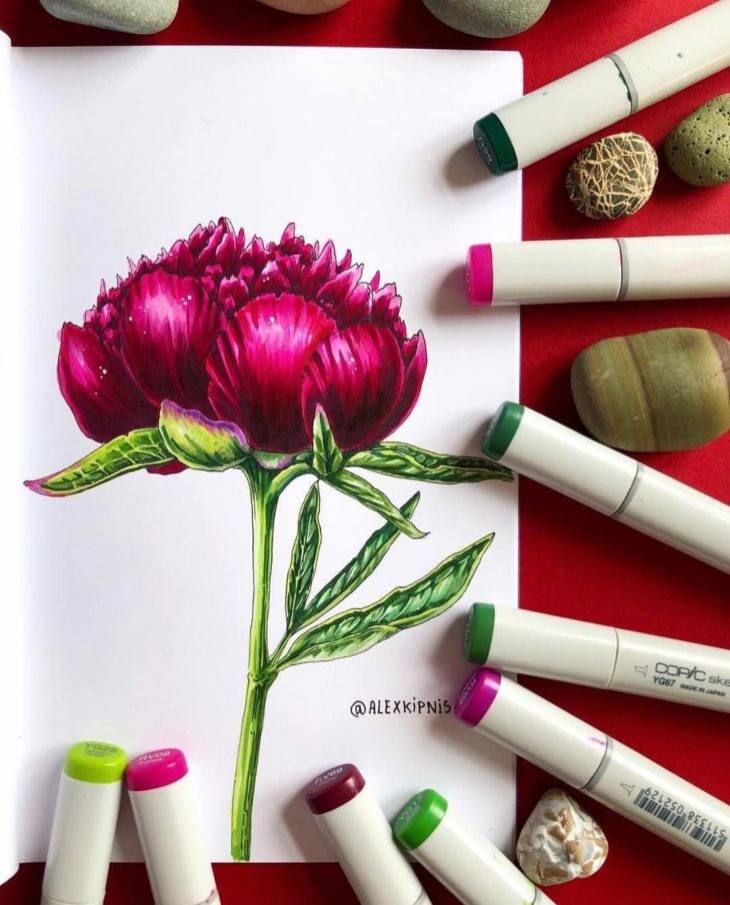 Рисунки цветов для срисовки маркерами 