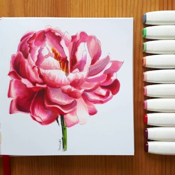 Рисунки цветов для срисовки маркерами 