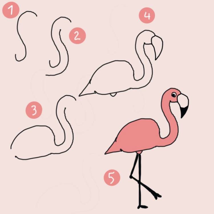 Фламинго Срисовки Легкие Пошаговые Рисунки Для Начинающих Карандашом Простые Идеи Красивые Картинки