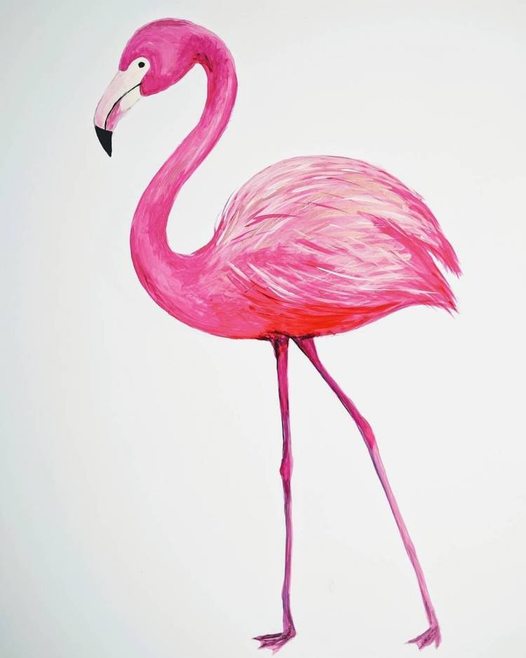 Детский рисунок фламинго