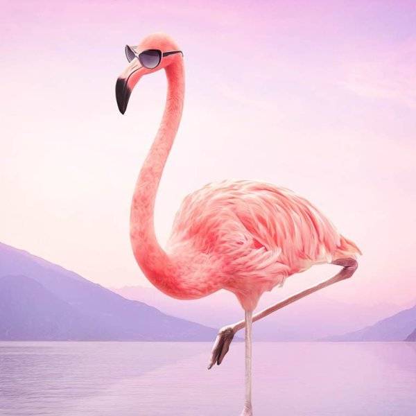 Арт фламинго 