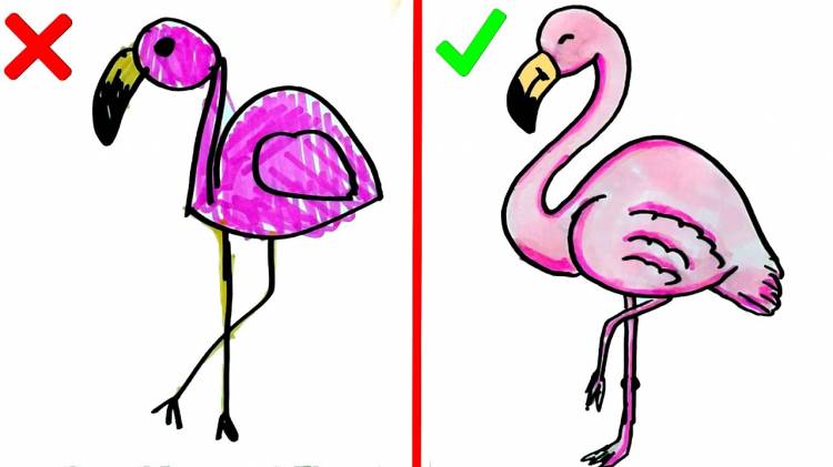 Как нарисовать Фламинго правильно и неправильно