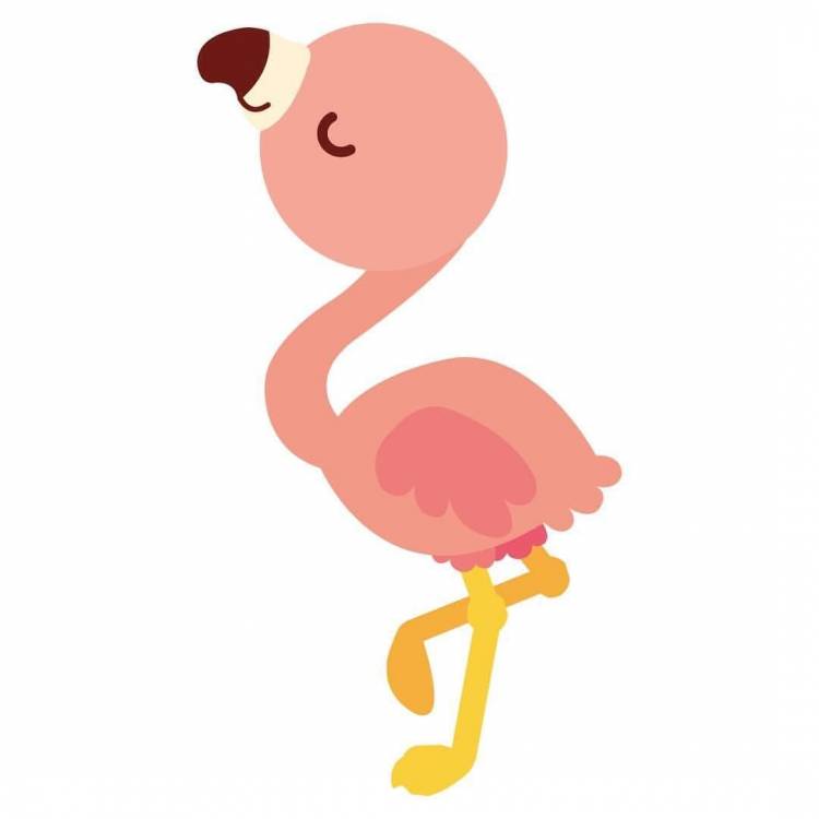 Рисунки фламинго