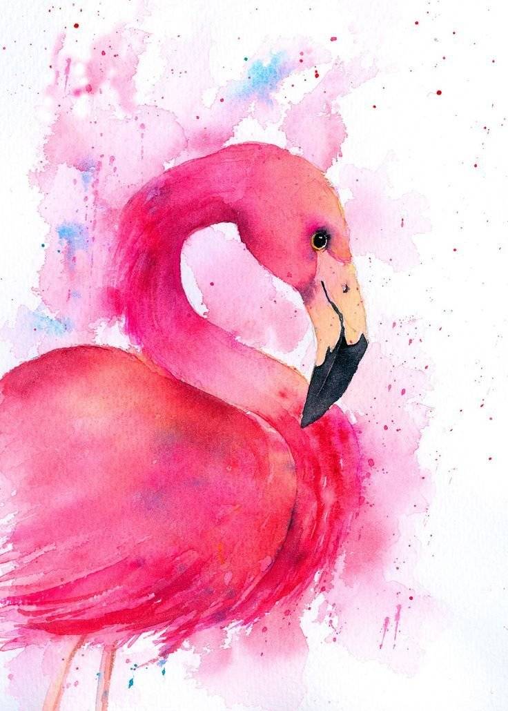 Рисунки фламинго для начинающих 