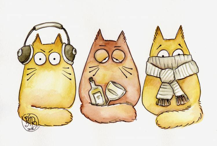 Рисунки для срисовки смешные котики