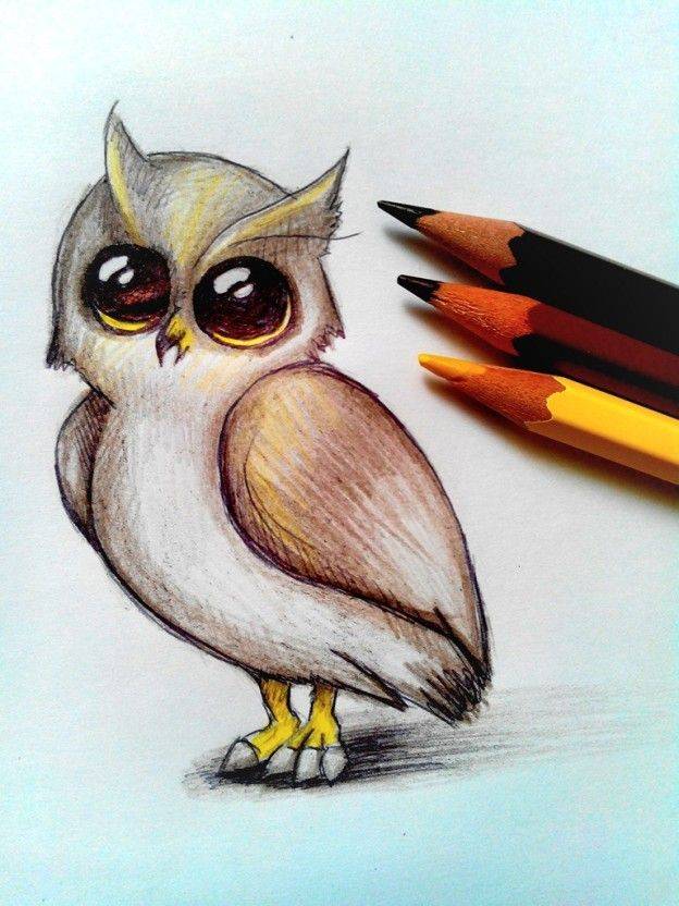 симпатичная сова, нарисованная цветными карандашами