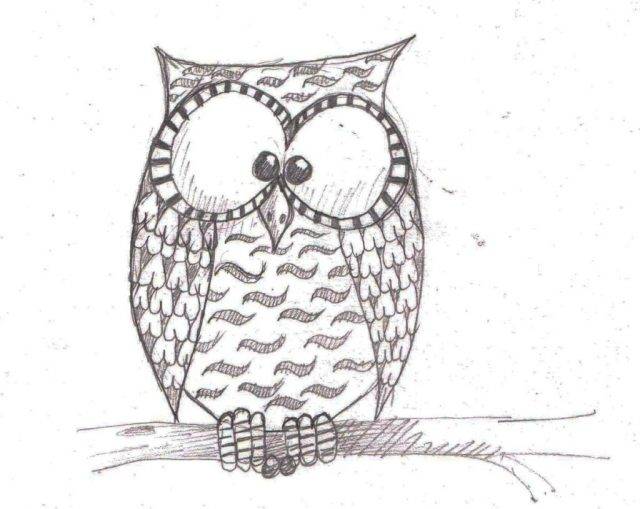 Рисунки совы карандашом для срисовки 