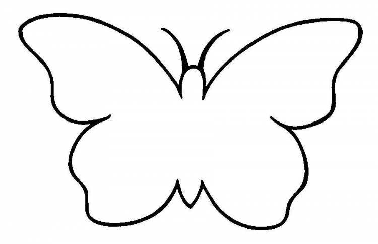 Бабочки контурные рисунки для вырезания 