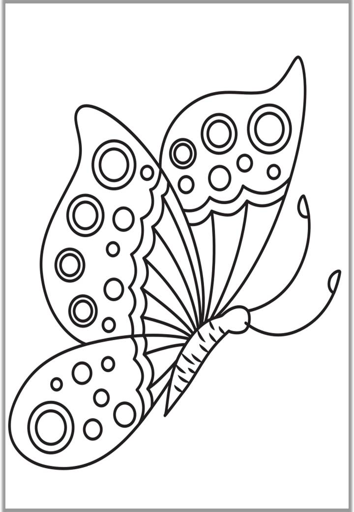 Рисунок бабочки для срисовки карандашом