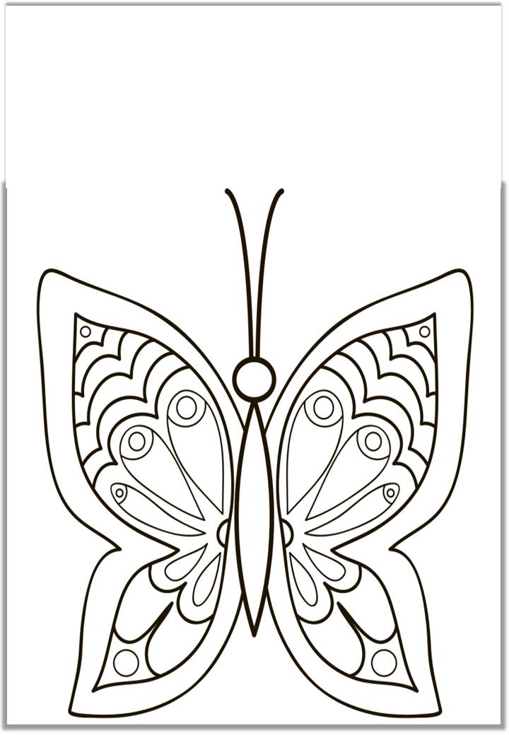 Рисунок бабочки для срисовки карандашом
