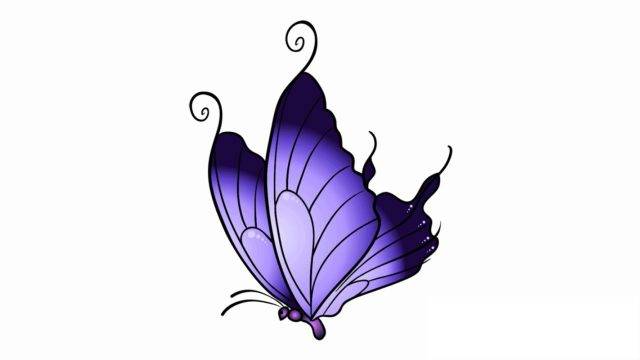 Картинки бабочек для срисовки 