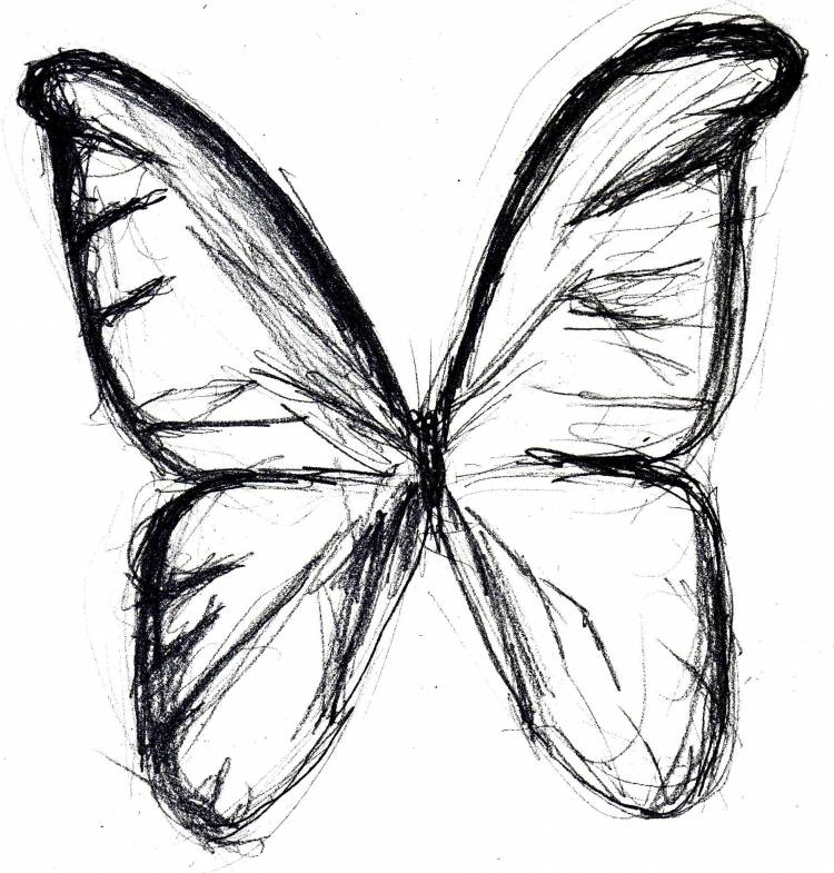 Рисунки для срисовки бабочки маленькие
