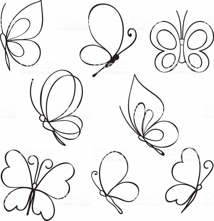 Рисунок поэтапно бабочка на цветке 