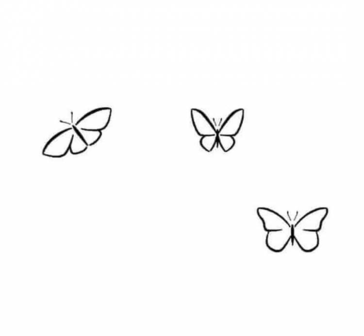 Рисунки бабочек для срисовки