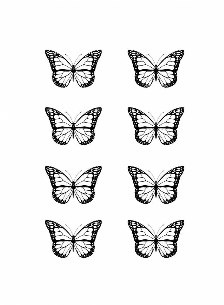 Маленькие бабочки рисунки