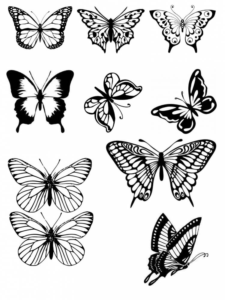 Рисунок мини бабочка