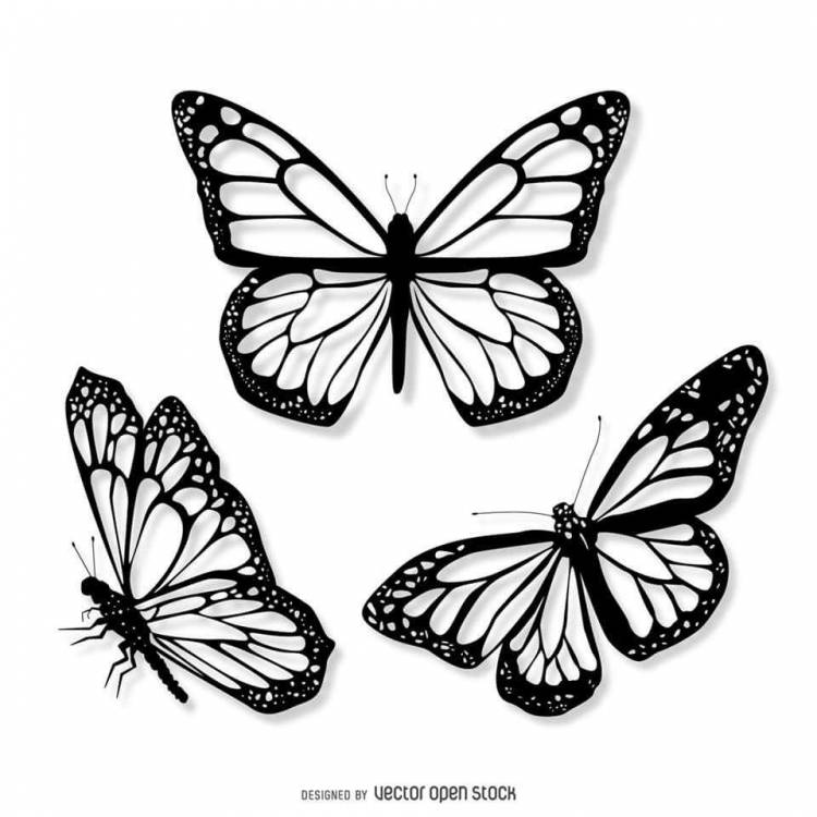 Эскиз рисунок бабочка 