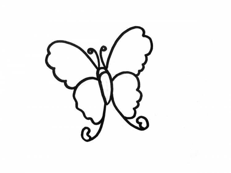 Бабочка маленькая рисунок 