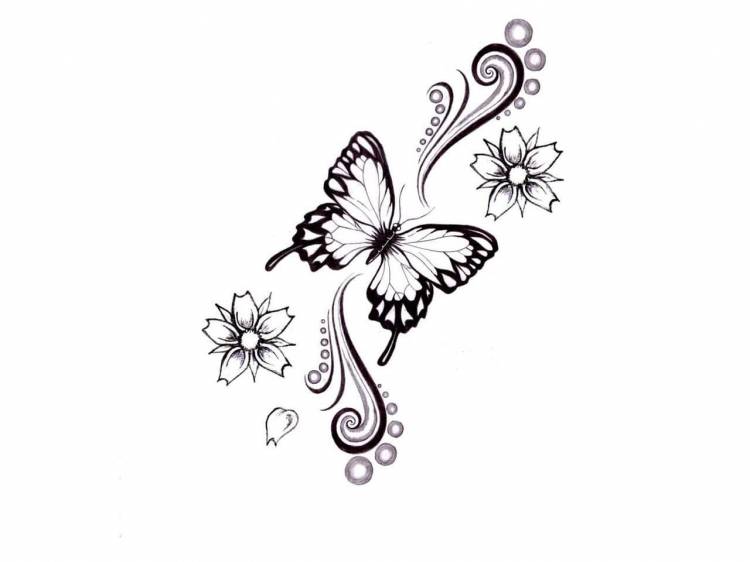 Черно белый рисунок для срисовки бабочки