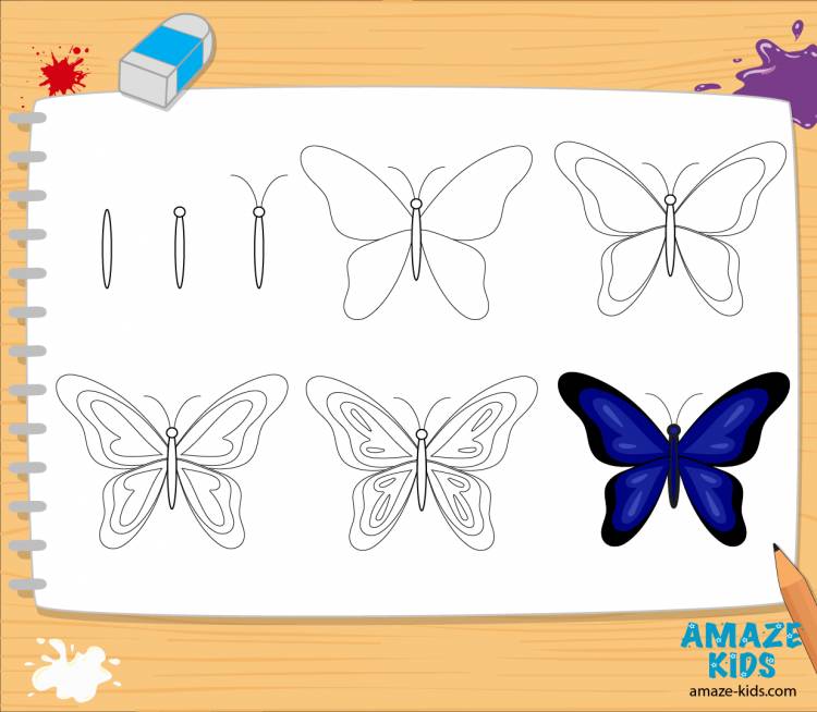 Как нарисовать бабочку поэтапно карандашом