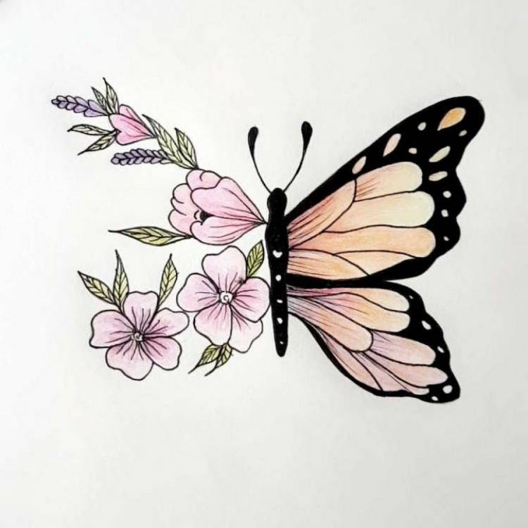 Бабочка нарисованная легко