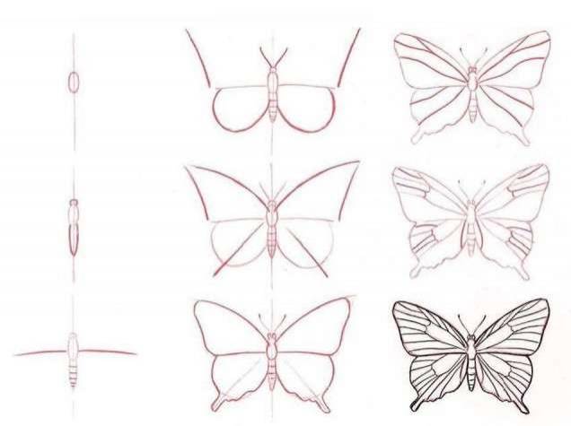 Простые рисунки карандашом для детей бабочки