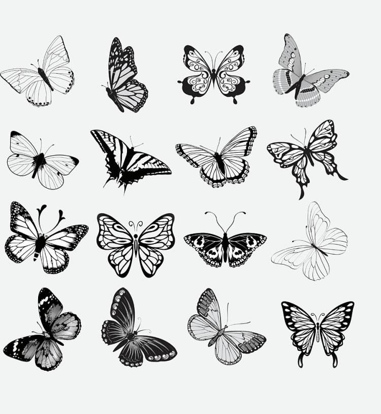 Черно белый рисунок бабочки