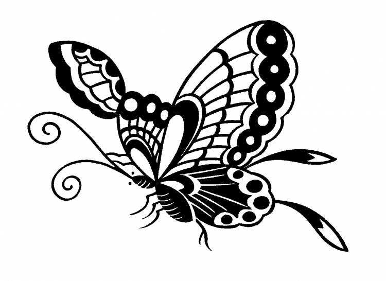Бабочки для срисовки черно белые