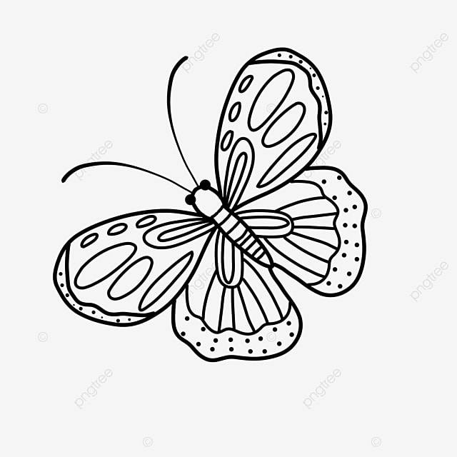 Простой линии черно белая бабочка насекомое бабочка клипарт черный и белый PNG , бабочка, расправить крылья, летать PNG картинки и пнг PSD рисунок для бесплатной загрузки