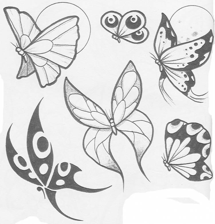 Бабочки для срисовки черно белые