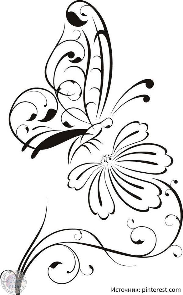 Рисунки для срисовки бабочки 