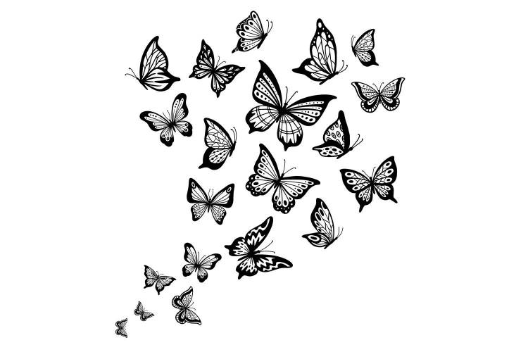 Много нарисованных бабочек