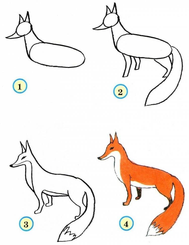 Рисунок лисы для детей карандашом поэтапно легко 