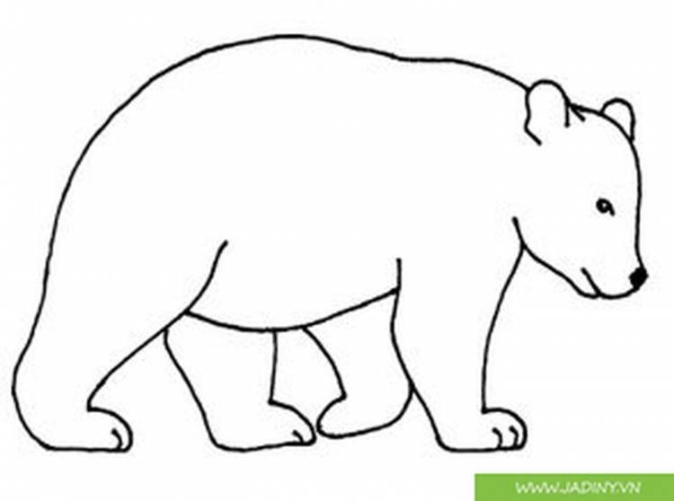 Белый медведь контурный рисунок 