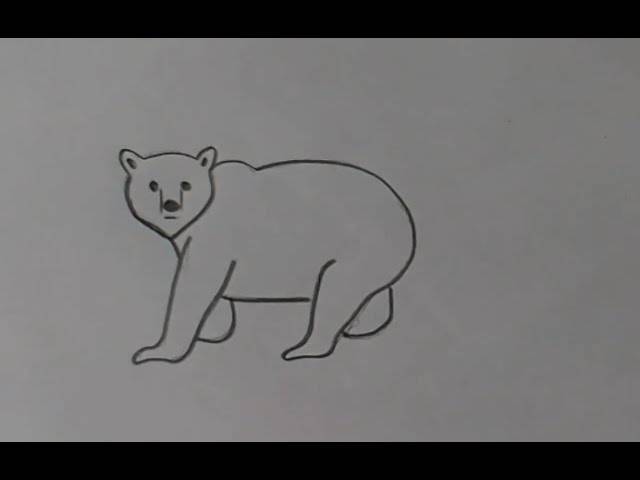 Как нарисовать медведя, рисунки карандашом, Pencil drawings, BEAR, art drawings