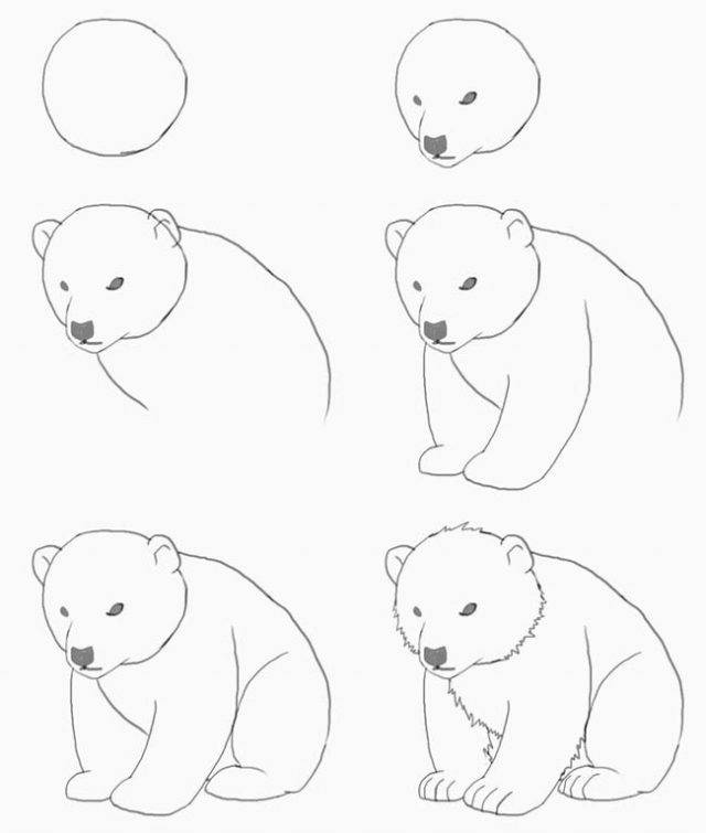 Рисунки карандашом голова медведя 