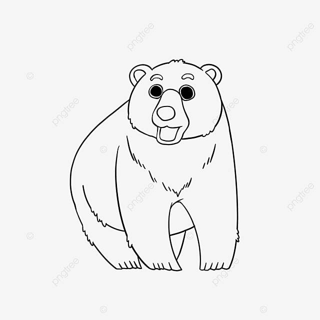 медведь клипарт черно белый ручной росписью детей животных штриховой рисунок PNG , медведь черный или белый, Черное и белое, отслеживание PNG картинки и пнг PSD рисунок для бесплатной загрузки