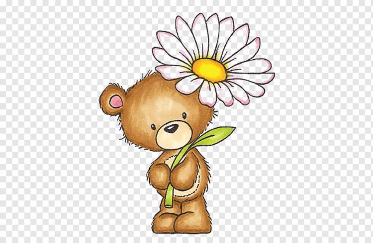 Мишка цветок рисования, милая маленькая рука медведя рисунок, Мишка, рисунок, цветок png