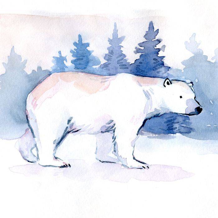 Картинки белого медведя для детей