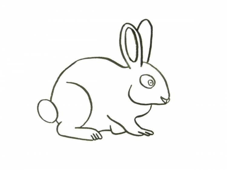 Рисунки кролика для срисовки 