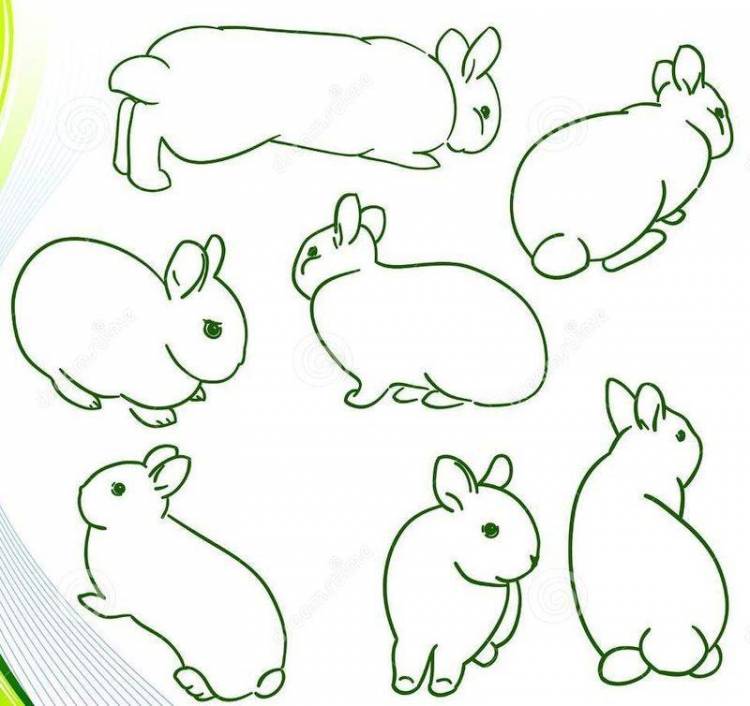 Рисунки Кроликов для срисовки