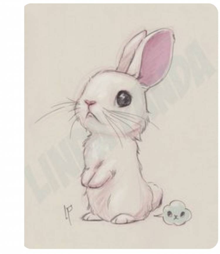 Кролик милый рисунок легкий