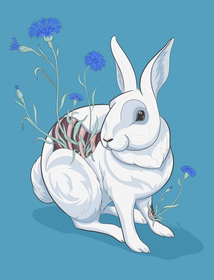Белый кролик арт