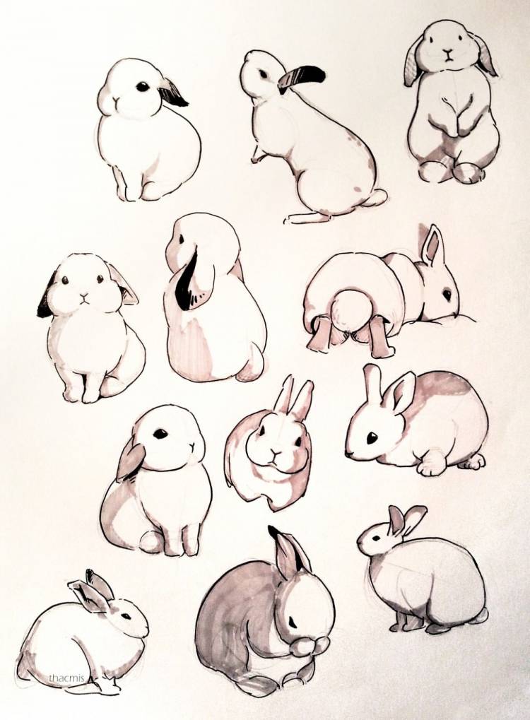 Милые кролики рисунки легкие